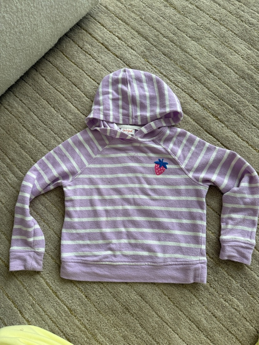 Cat and jack purple striped hoodie with strawberry embroidery